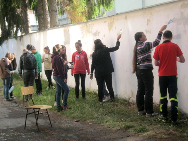 Alkotás az álmok útján - Élesben a sikátor-projekt